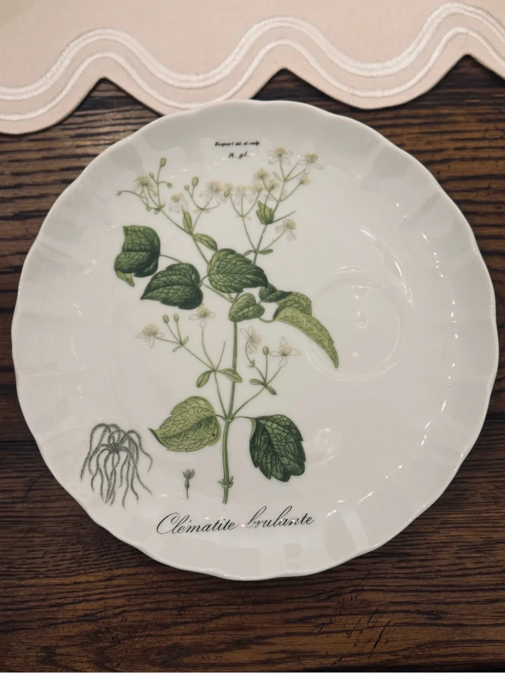TASTE SETTER COLLECTION® Botanical Green and Pink  Scallop plates  Set - 4